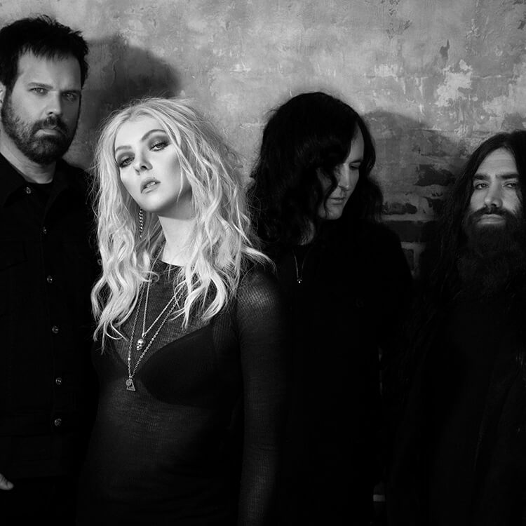 The Pretty Reckless Artist Image