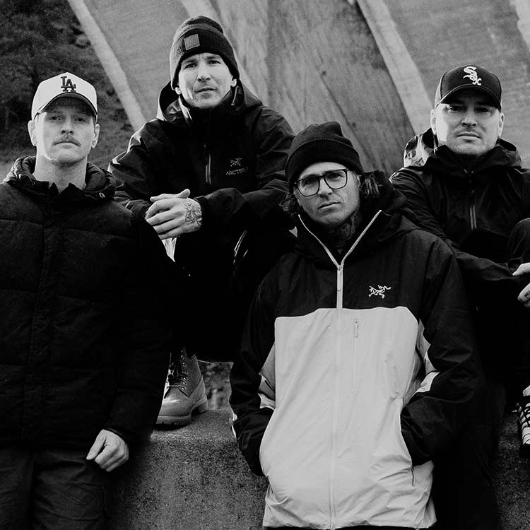 The Amity Affliction